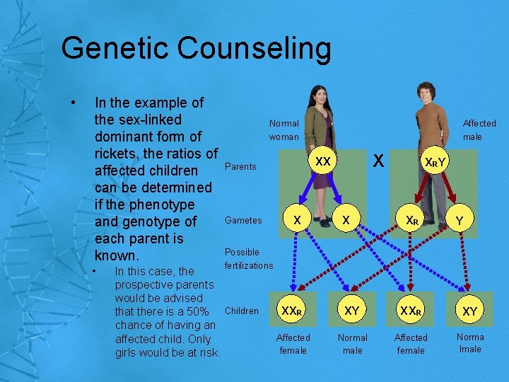 Genetic Counseling • In the example of the sex-linked dominant form of rickets, the