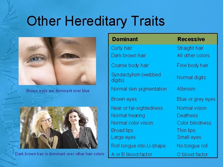 Other Hereditary Traits Brown eyes are dominant over blue Dark brown hair is dominant