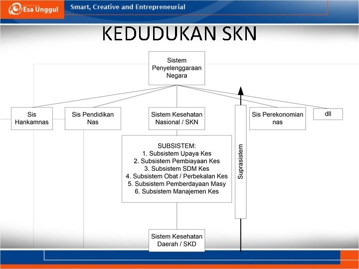 KEDUDUKAN SKN 