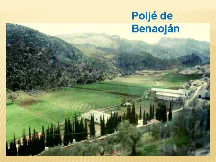 Poljé de Benaoján 