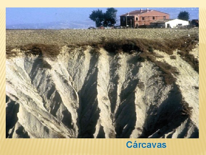 Cárcavas 