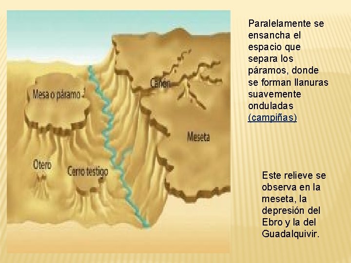 Paralelamente se ensancha el espacio que separa los páramos, donde se forman llanuras suavemente
