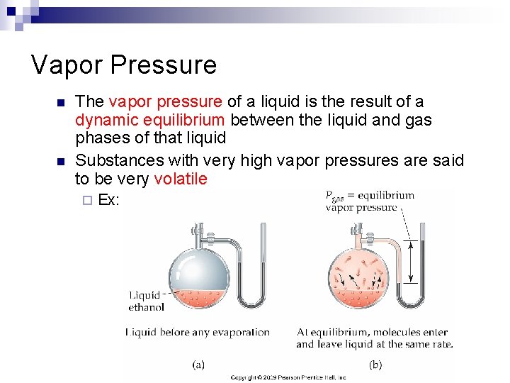 Vapor Pressure n n The vapor pressure of a liquid is the result of