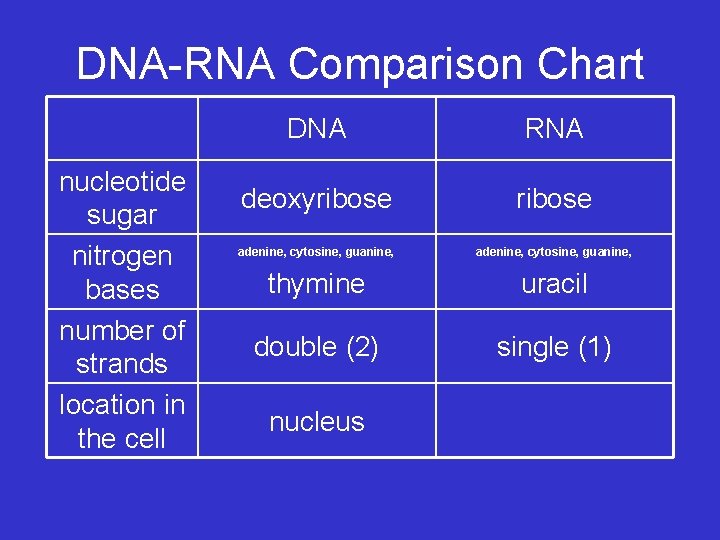 DNA-RNA Comparison Chart nucleotide sugar nitrogen bases number of strands location in the cell