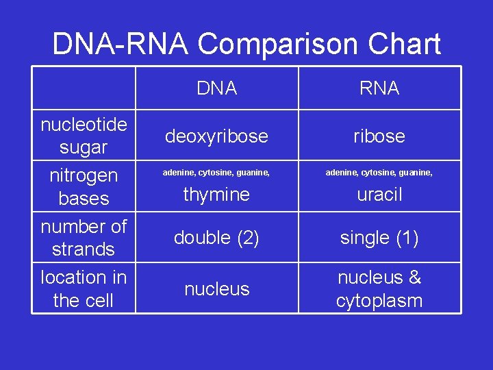 DNA-RNA Comparison Chart nucleotide sugar nitrogen bases number of strands location in the cell