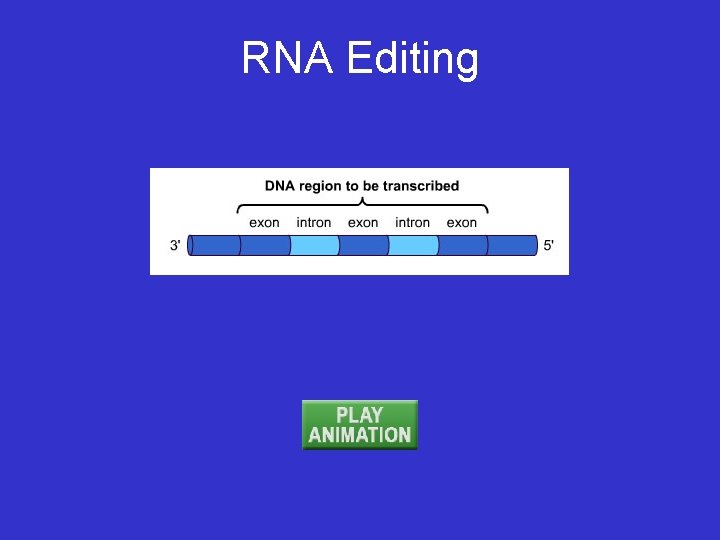 RNA Editing 