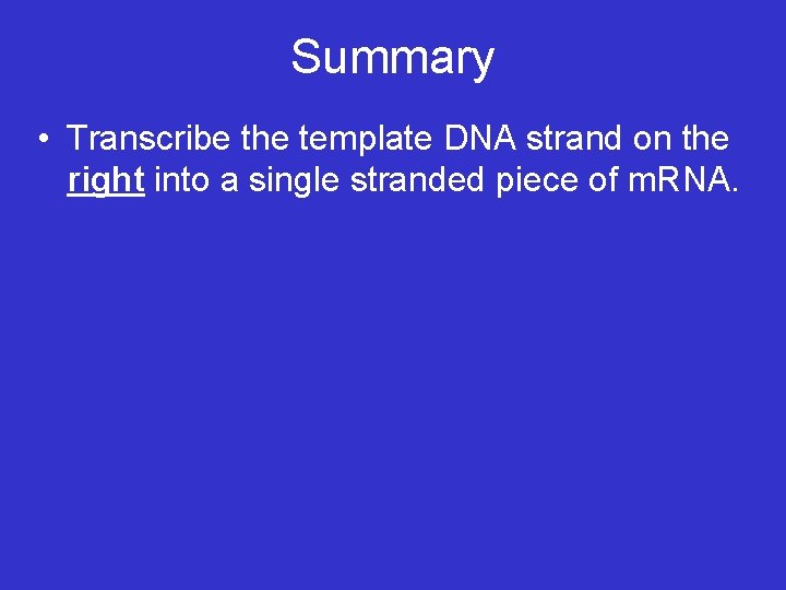 Summary • Transcribe the template DNA strand on the right into a single stranded