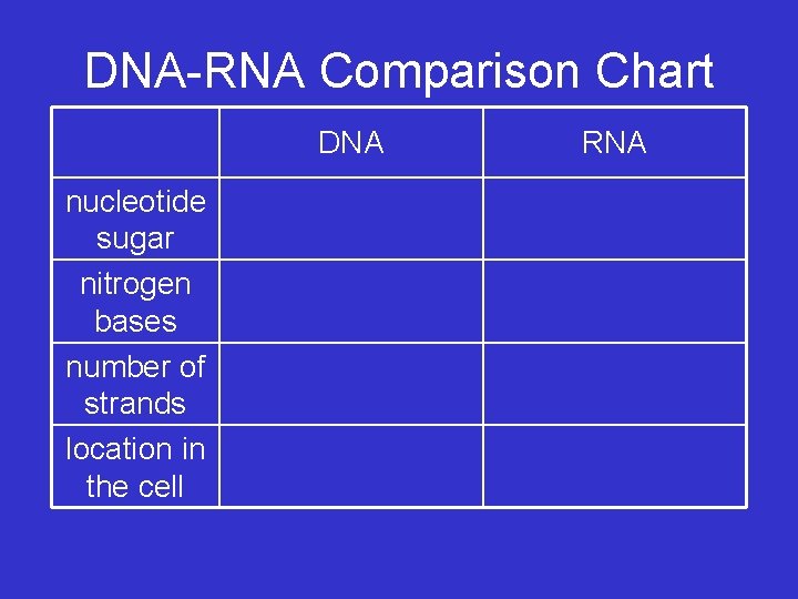 DNA-RNA Comparison Chart DNA nucleotide sugar nitrogen bases number of strands location in the
