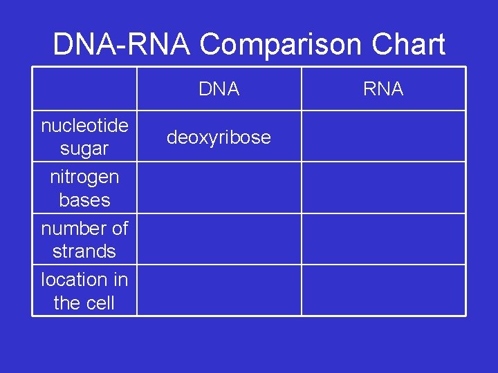 DNA-RNA Comparison Chart DNA nucleotide sugar nitrogen bases number of strands location in the