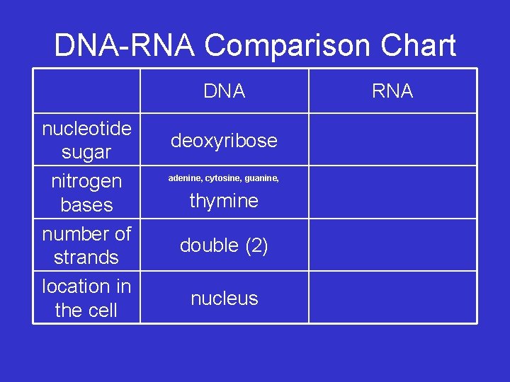DNA-RNA Comparison Chart DNA nucleotide sugar nitrogen bases number of strands location in the
