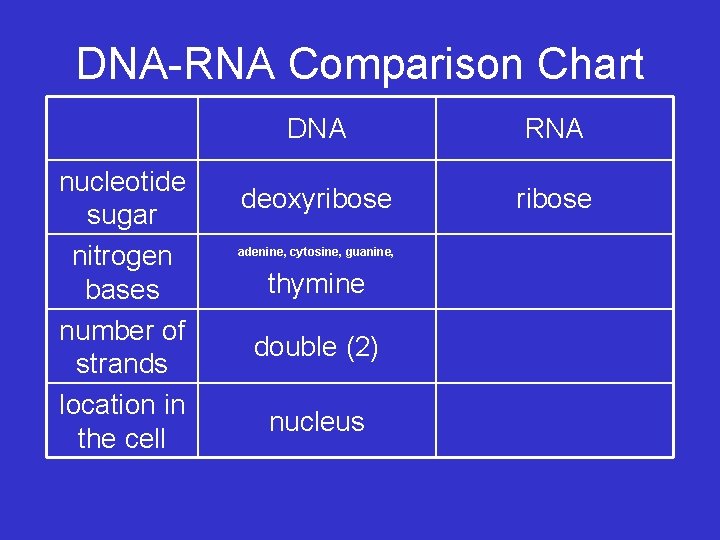 DNA-RNA Comparison Chart nucleotide sugar nitrogen bases number of strands location in the cell