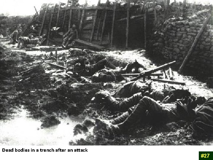 Dead bodies in a trench after an attack #27 