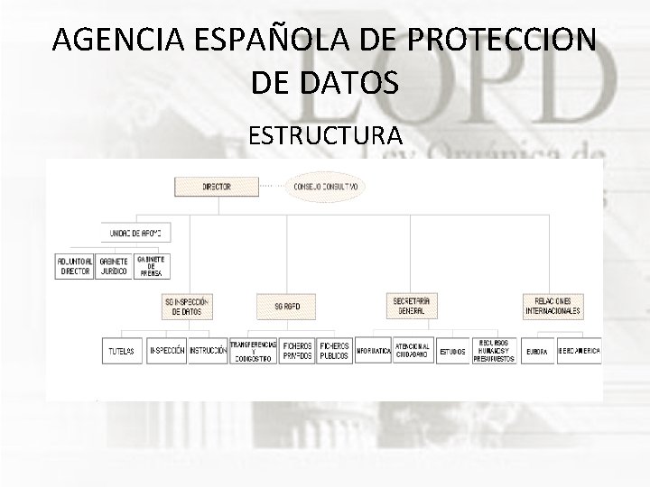 AGENCIA ESPAÑOLA DE PROTECCION DE DATOS ESTRUCTURA 