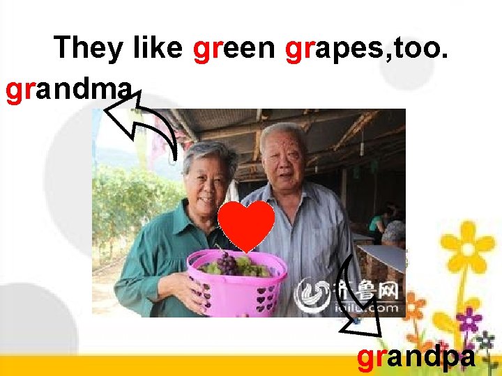 They like green grapes, too. grandma grandpa 