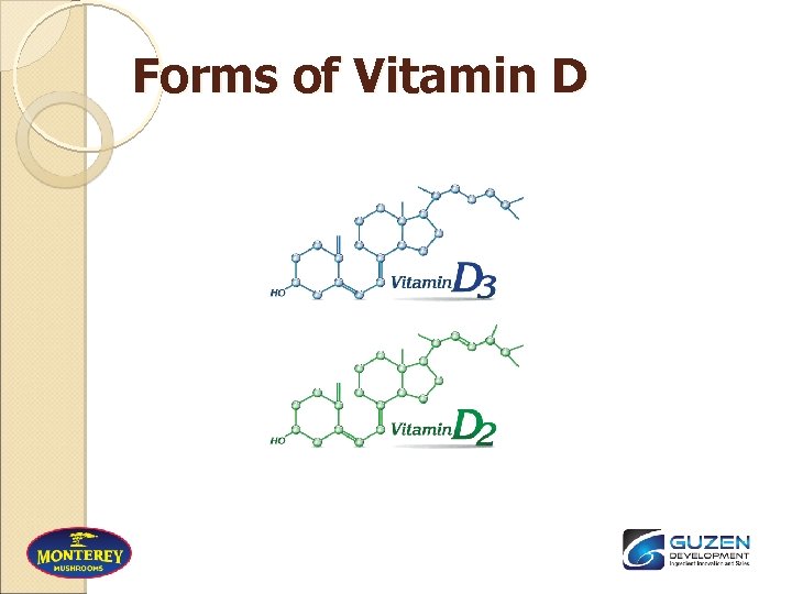 Forms of Vitamin D 