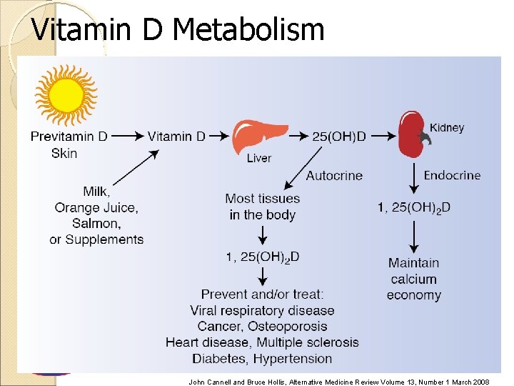 Vitamin D Metabolism John Cannell and Bruce Hollis, Alternative Medicine Review Volume 13, Number