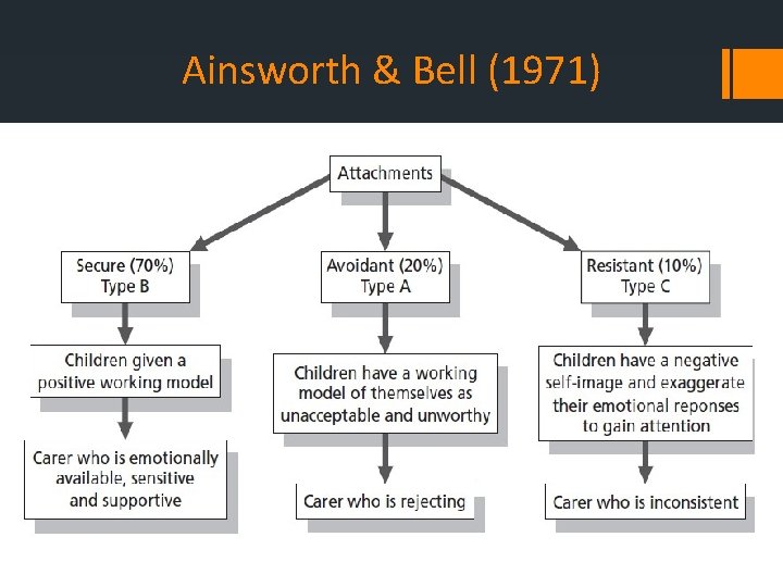 Ainsworth & Bell (1971) 