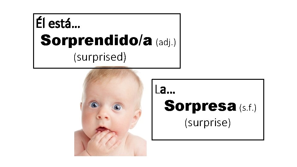 Él está… Sorprendido/a (adj. ) (surprised) La… Sorpresa (s. f. ) (surprise) 