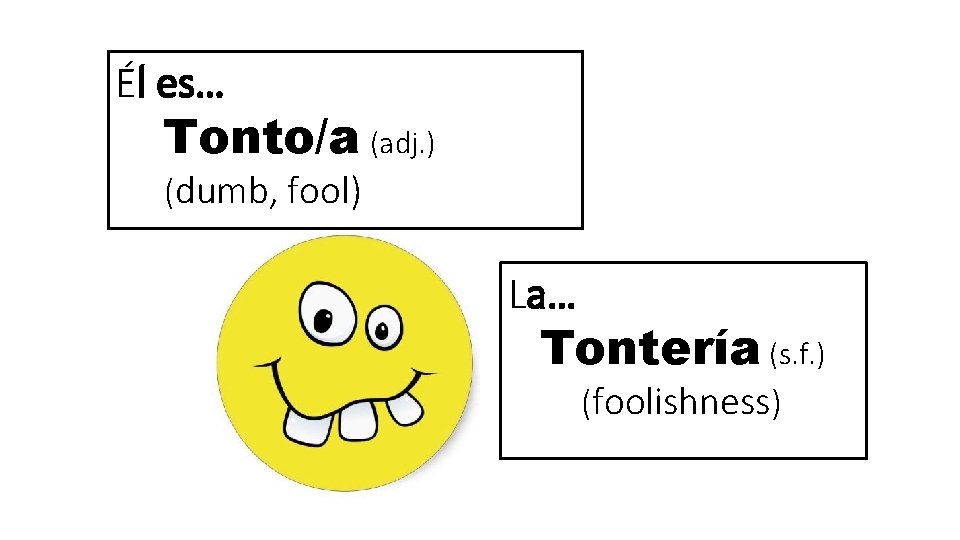 Él es… Tonto/a (adj. ) (dumb, fool) La… Tontería (s. f. ) (foolishness) 