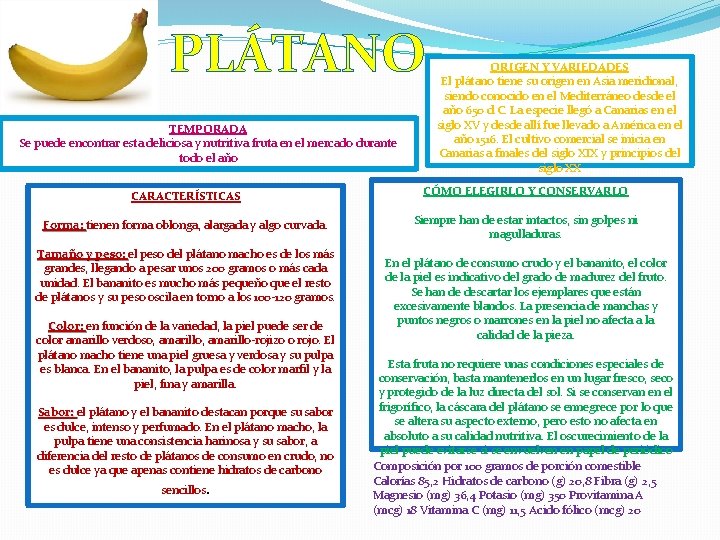 PLÁTANO TEMPORADA Se puede encontrar esta deliciosa y nutritiva fruta en el mercado durante PLÁTANO TEMPORADA Se puede encontrar esta deliciosa y nutritiva fruta en el mercado durante