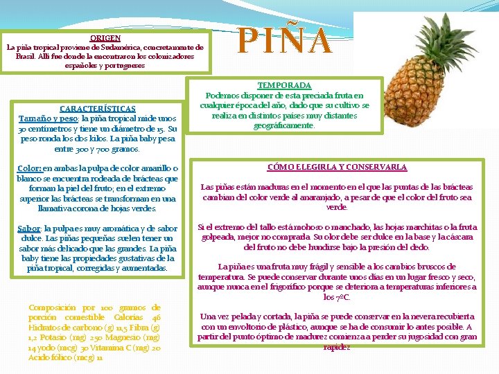 ORIGEN La piña tropical proviene de Sudamérica, concretamente de Brasil. Allí fue donde la ORIGEN La piña tropical proviene de Sudamérica, concretamente de Brasil. Allí fue donde la