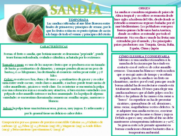 SANDÍA ORIGEN La sandía se considera originaria de países de Africa tropical y su SANDÍA ORIGEN La sandía se considera originaria de países de Africa tropical y su