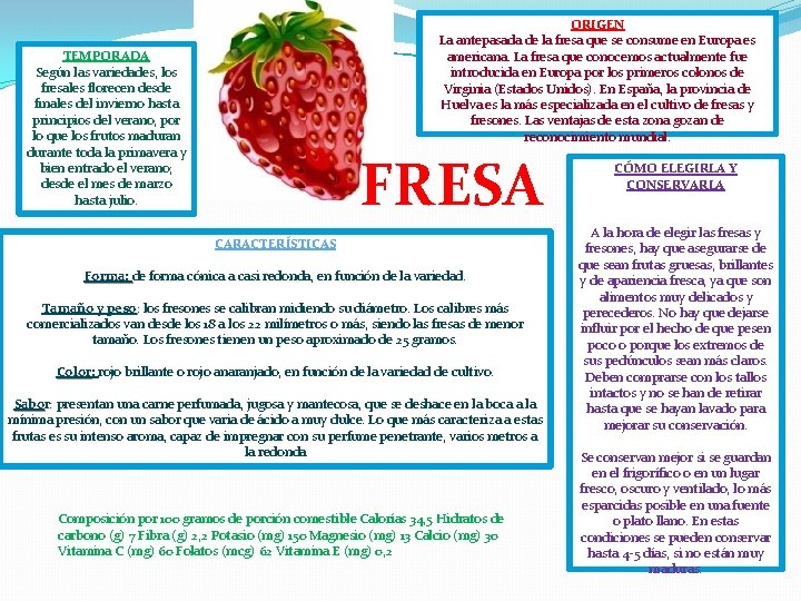 ORIGEN La antepasada de la fresa que se consume en Europa es americana. La ORIGEN La antepasada de la fresa que se consume en Europa es americana. La