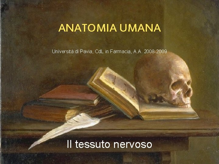 ANATOMIA UMANA Università di Pavia, Cd. L in Farmacia, A. A. 2008 -2009 Il