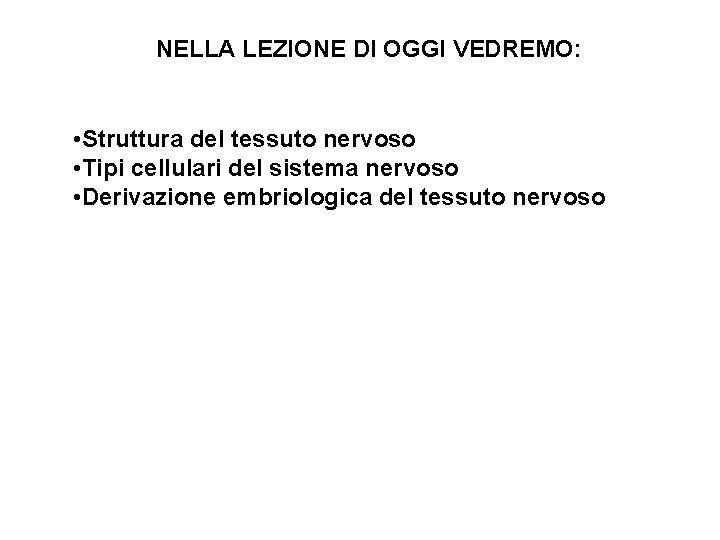NELLA LEZIONE DI OGGI VEDREMO: • Struttura del tessuto nervoso • Tipi cellulari del