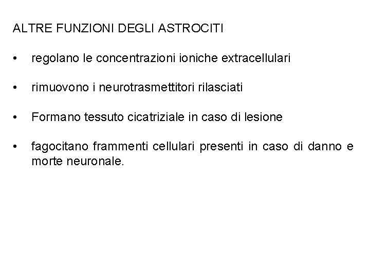 ALTRE FUNZIONI DEGLI ASTROCITI • regolano le concentrazioniche extracellulari • rimuovono i neurotrasmettitori rilasciati