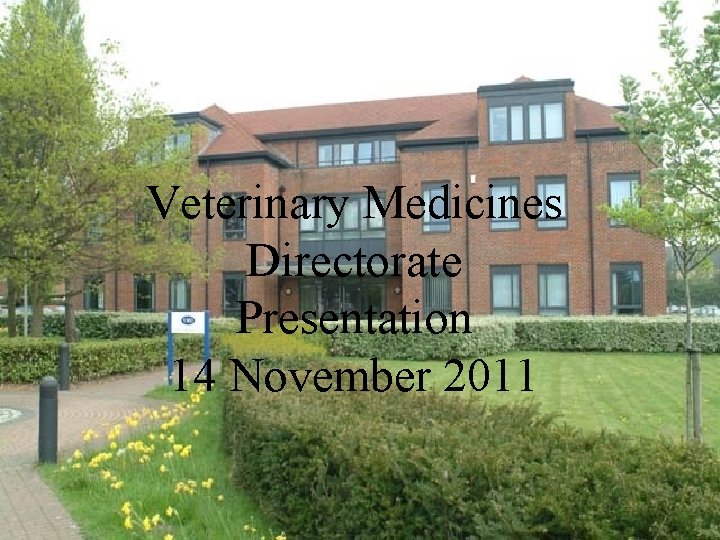 Veterinary Medicines Directorate Presentation 14 November 2011 