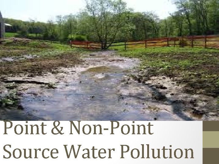 Point & Non-Point Source Water Pollution 