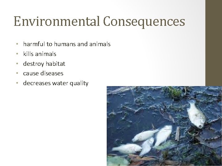 Environmental Consequences • • • harmful to humans and animals kills animals destroy habitat