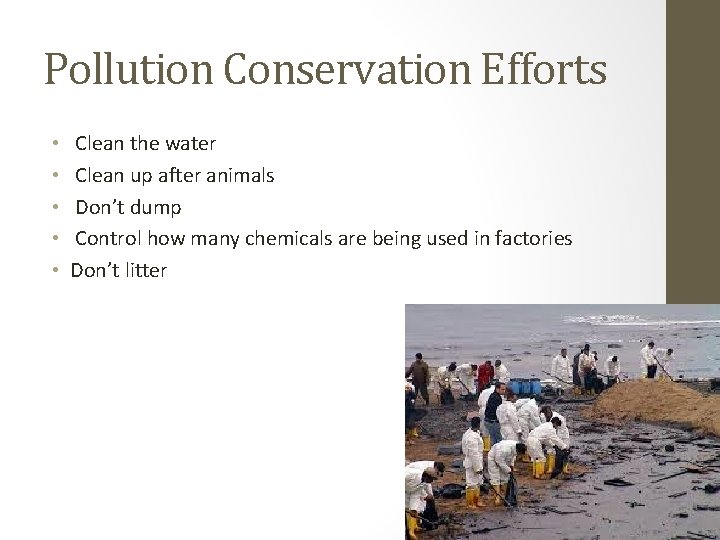 Pollution Conservation Efforts • • • Clean the water Clean up after animals Don’t