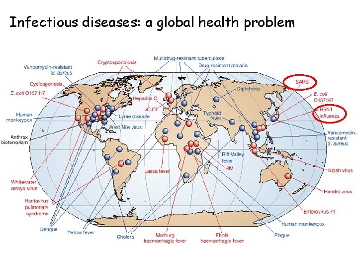 Pathogens and the immune system Lecture 8 Review