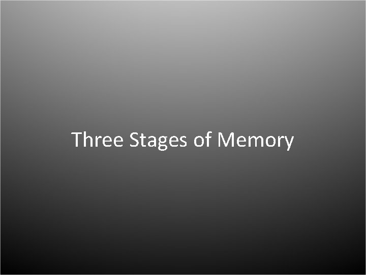 Three Stages of Memory 