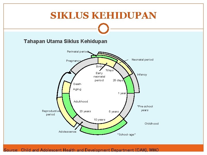 SIKLUS KEHIDUPAN Tahapan Utama Siklus Kehidupan Perinatal period Neonatal period Pregnancy Birth Early neonatal SIKLUS KEHIDUPAN Tahapan Utama Siklus Kehidupan Perinatal period Neonatal period Pregnancy Birth Early neonatal