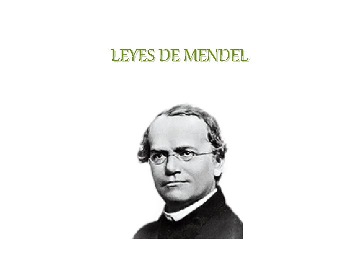 LEYES DE MENDEL LEYES DE MENDEL