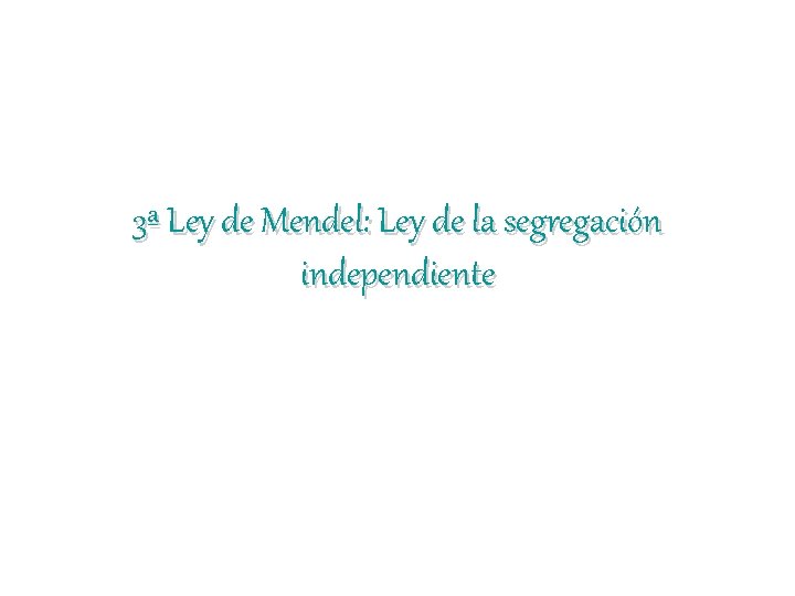 3ª Ley de Mendel: Ley de la segregación independiente 3ª Ley de Mendel: Ley de la segregación independiente