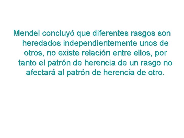 Mendel concluyó que diferentes rasgos son heredados independientemente unos de otros, no existe relación Mendel concluyó que diferentes rasgos son heredados independientemente unos de otros, no existe relación