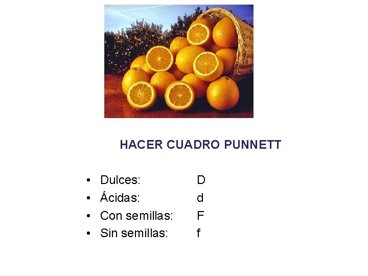 HACER CUADRO PUNNETT • • Dulces: Ácidas: Con semillas: Sin semillas: D d F HACER CUADRO PUNNETT • • Dulces: Ácidas: Con semillas: Sin semillas: D d F