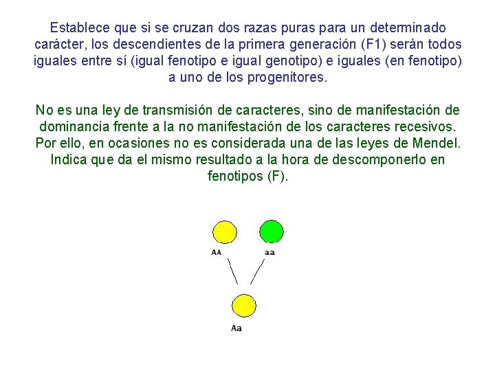 Establece que si se cruzan dos razas puras para un determinado carácter, los descendientes Establece que si se cruzan dos razas puras para un determinado carácter, los descendientes