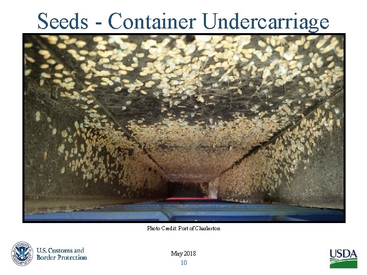 Seeds - Container Undercarriage Photo Credit: Port of Charleston May 2018 10 