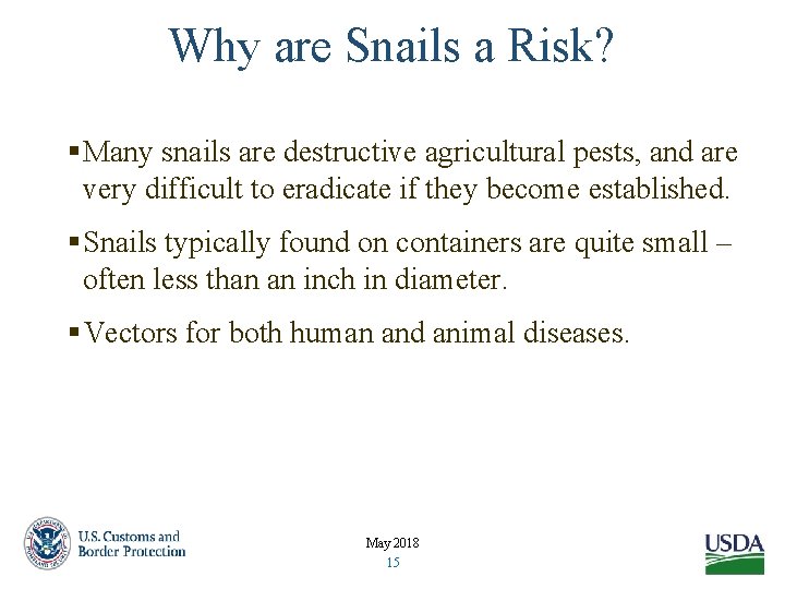 Why are Snails a Risk? §Many snails are destructive agricultural pests, and are very