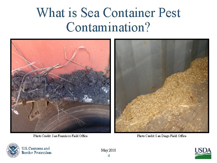 What is Sea Container Pest Contamination? Photo Credit: San Francisco Field Office Photo Credit: