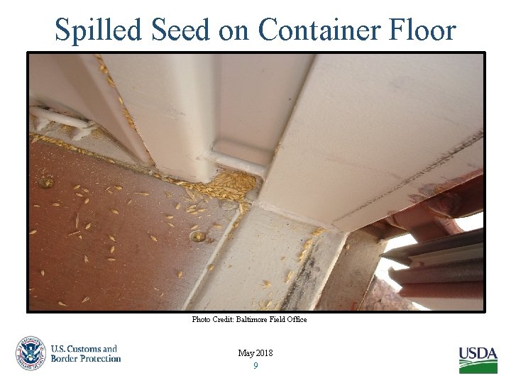 Spilled Seed on Container Floor Photo Credit: Baltimore Field Office May 2018 9 