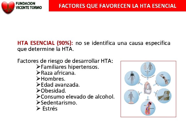 FACTORES QUE FAVORECEN LA HTA ESENCIAL (90%): no se identifica una causa específica que