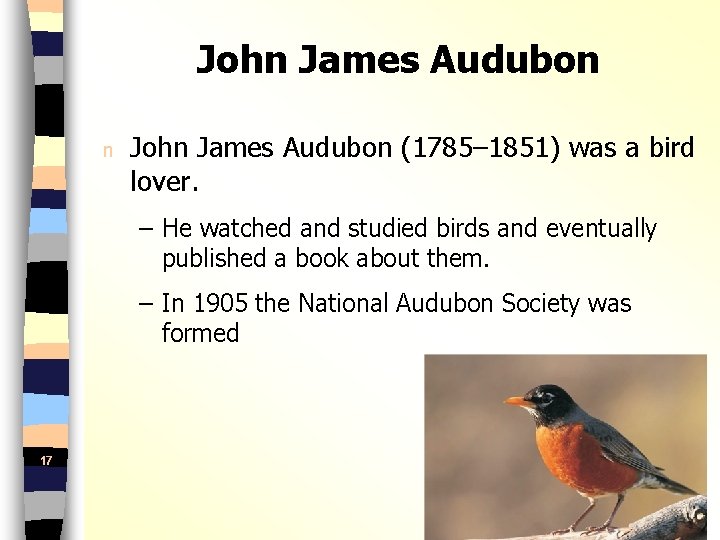 John James Audubon n John James Audubon (1785– 1851) was a bird lover. –