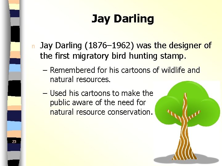Jay Darling n Jay Darling (1876– 1962) was the designer of the first migratory