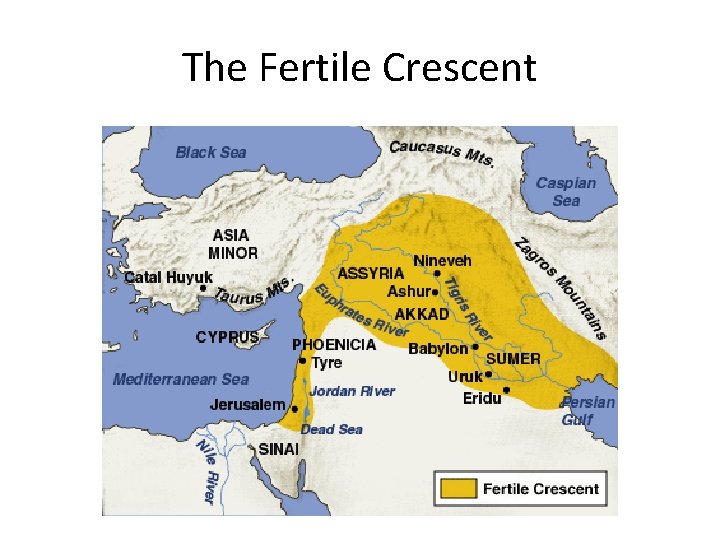 The Fertile Crescent 